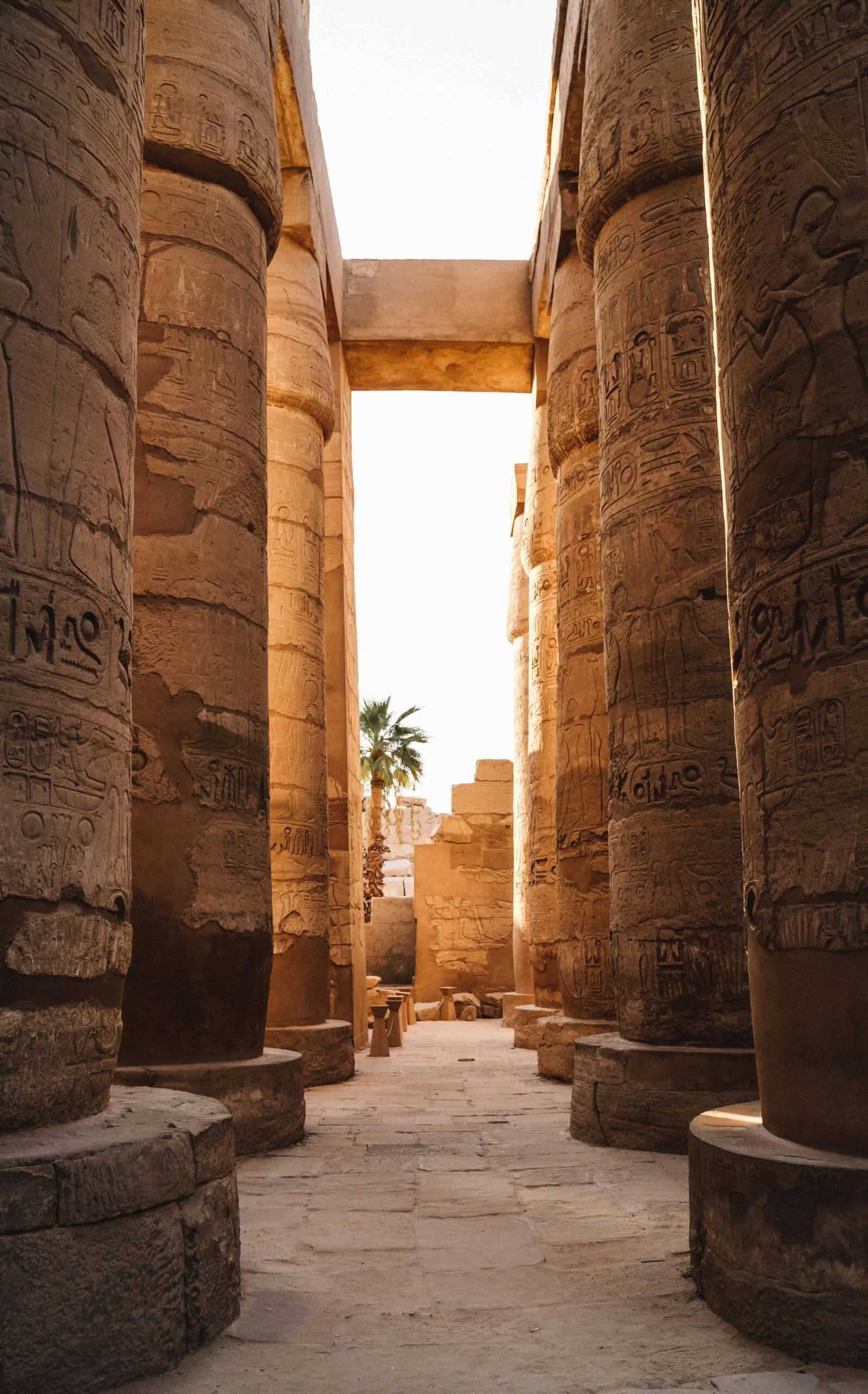 Decorative Papyrus